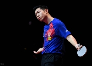 开云官方app入口-比利时乒乓球队血洗奥地利乒乓球队，许昕打破历史纪录的简单介绍