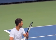 开云体育直播-欧洲网球队碾压德国网球队，德约科维奇关键制胜的简单介绍