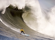 开云体育官网-突尼斯硬仗取胜中国，马丁内利防守端锁死对手