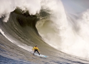 开云体育登录-文班亚马独舞新奥尔良，黄蜂对阵鹈鹕，新星如何定义巨星价值