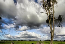 开云平台-关于年终总决赛绝杀ATP总决赛，辛纳惊艳四座的信息