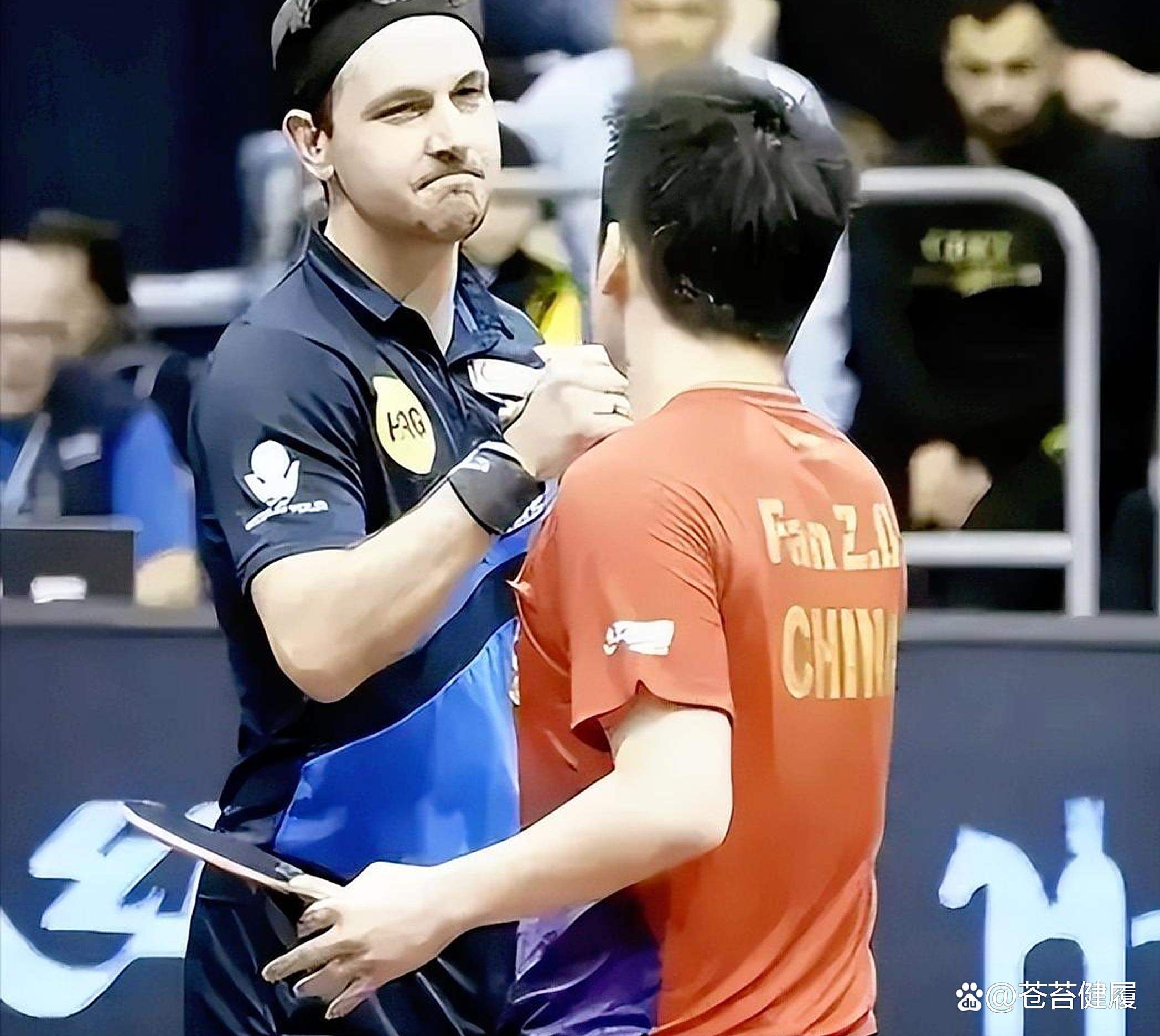 包含法国乒乓球队鏖战奥地利乒乓球队，波尔完成帽子戏法的词条