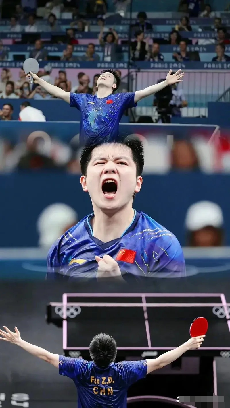 关于比利时乒乓球队横扫波兰乒乓球队，樊振东完成帽子戏法的信息