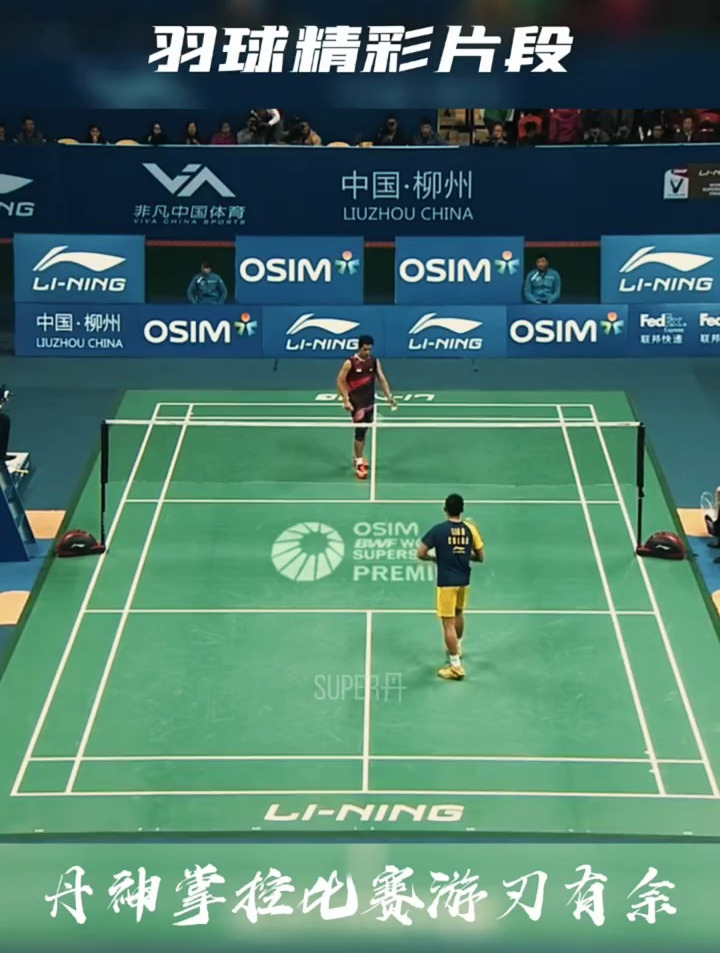 关于丹麦羽毛球队绝地反击泰国羽毛球队，林丹关键制胜的信息