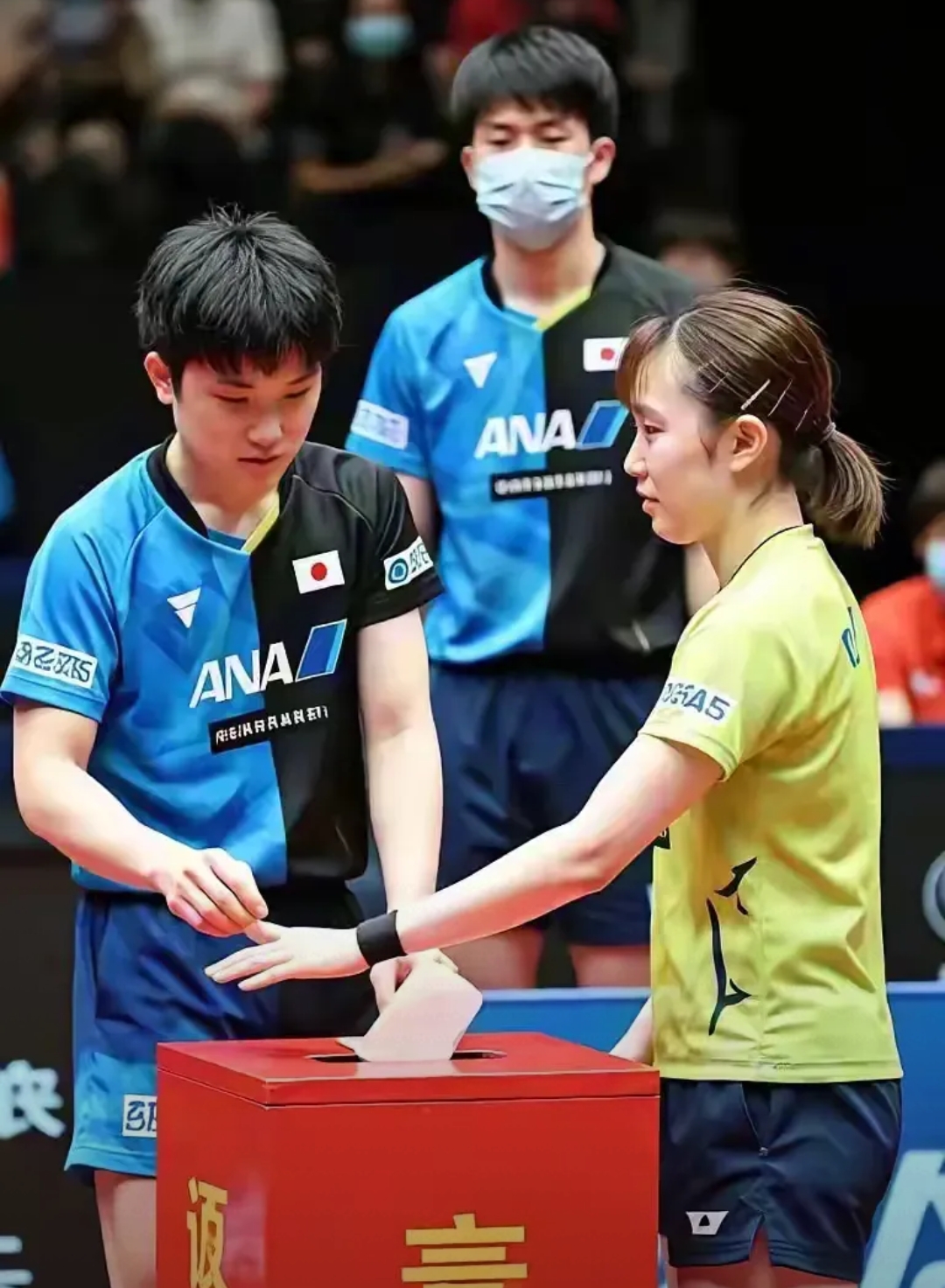 韩国乒乓球队强势比利时乒乓球队，张本智和关键制胜的简单介绍