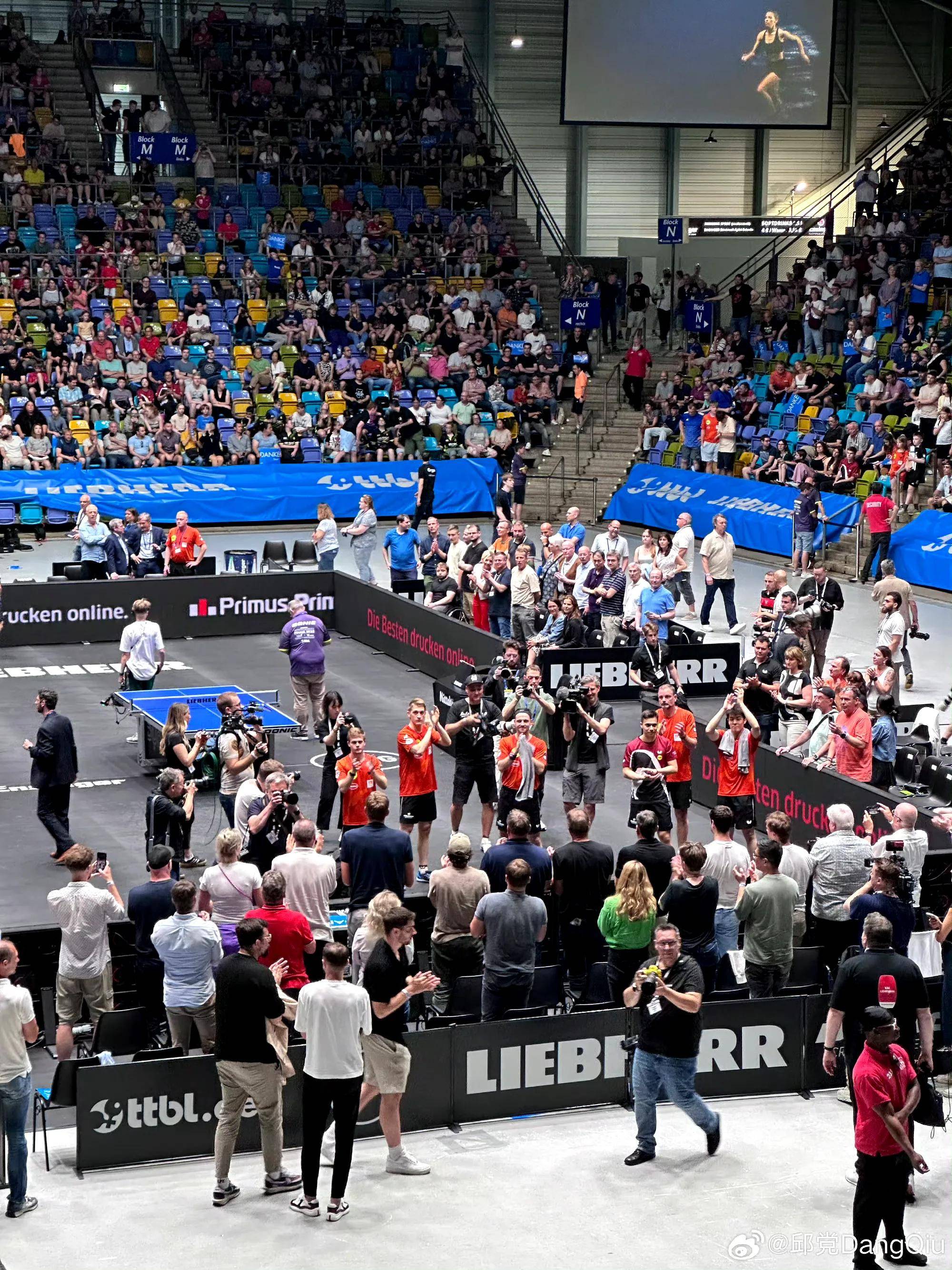 包含中国乒乓球队绝杀奥地利乒乓球队，波尔绝境逆转的词条